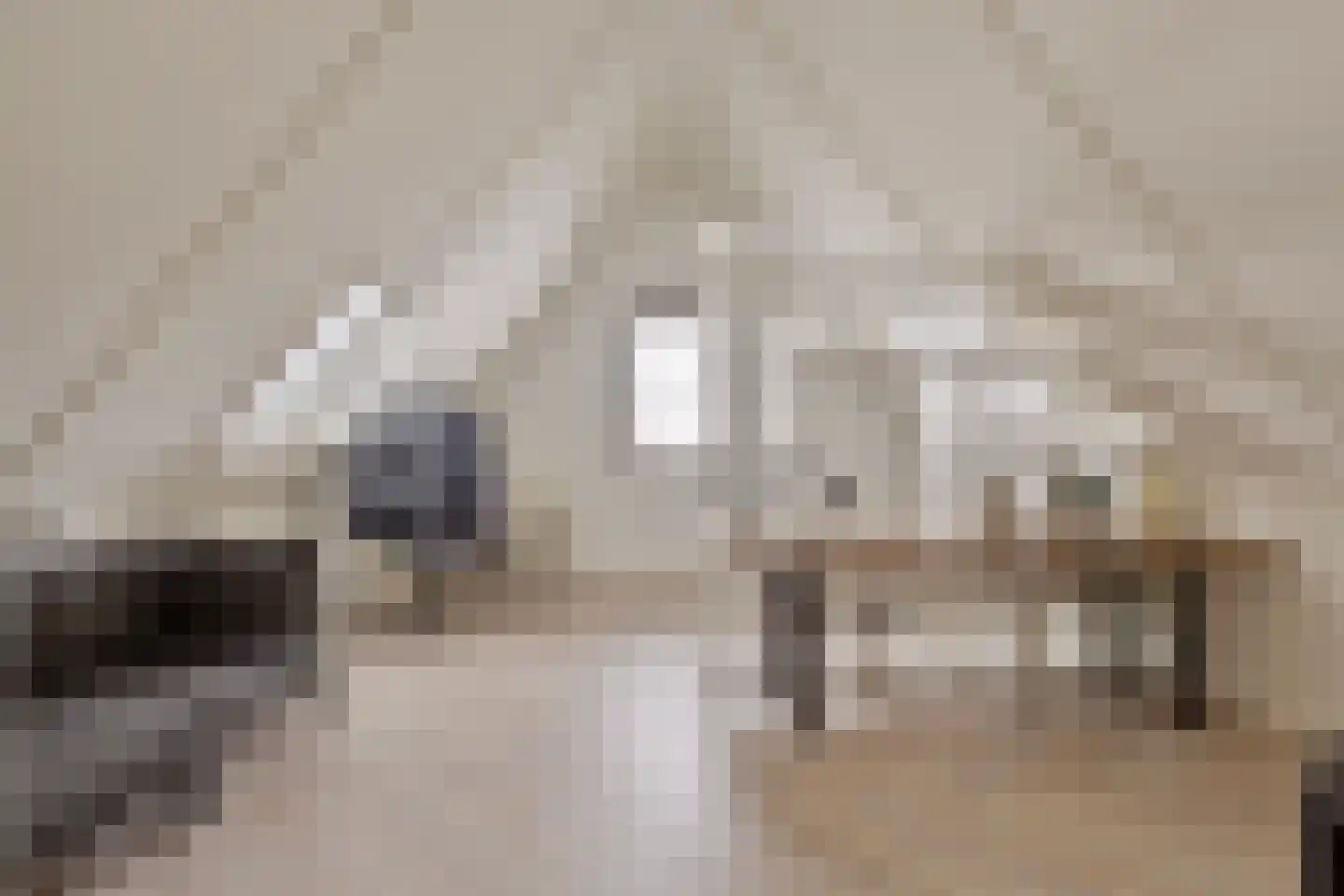 Castrumstraat 14 Naaldwijk thumbnail 32