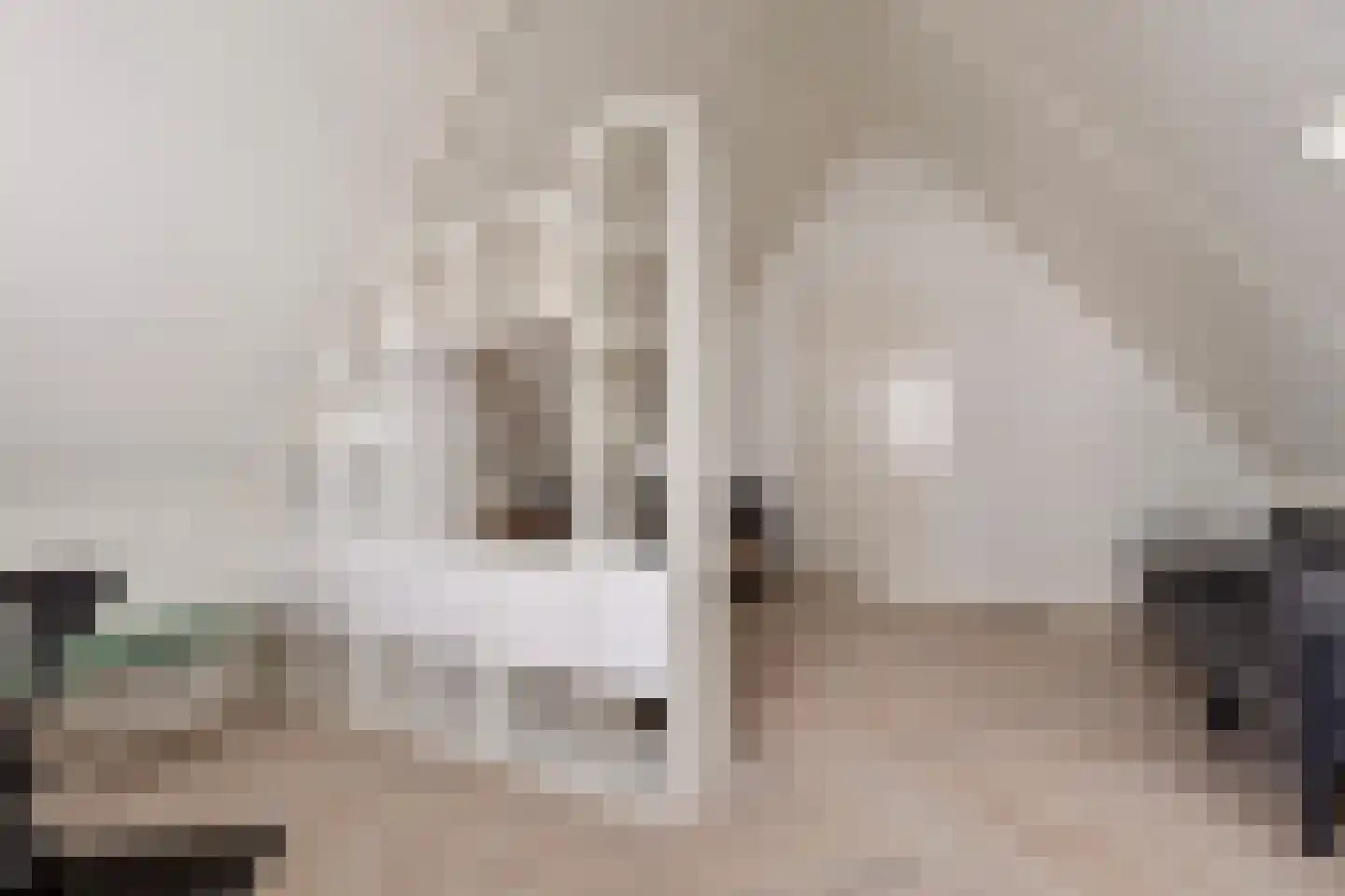 Castrumstraat 14 Naaldwijk thumbnail 33