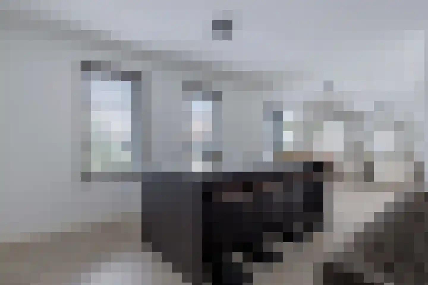 Castrumstraat 14 Naaldwijk thumbnail 4