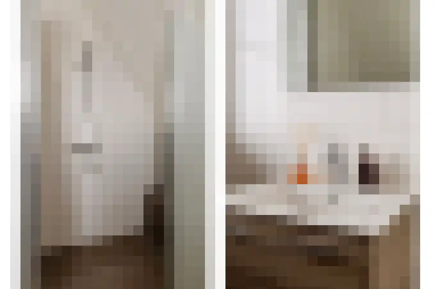 Castrumstraat 14 Naaldwijk thumbnail 43