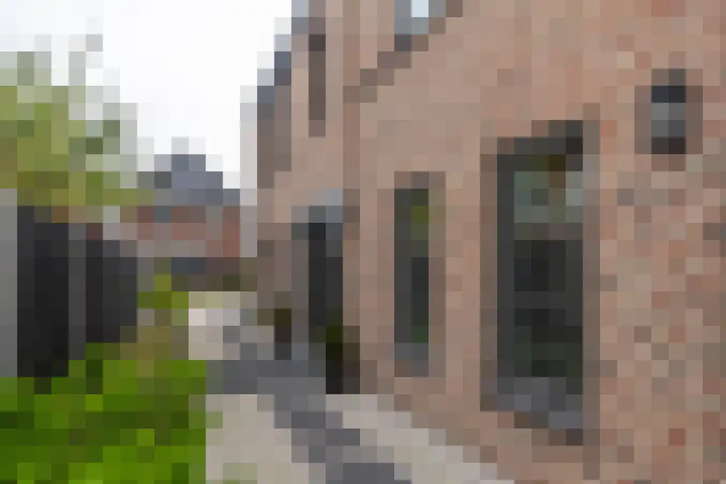 Castrumstraat 14 Naaldwijk thumbnail 5
