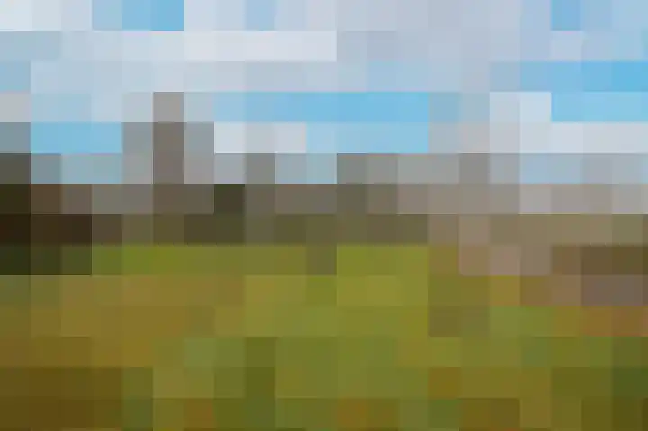 Cathalijnepad 6 Sint-Oedenrode thumbnail 43
