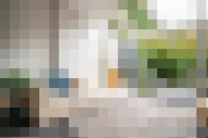 Catharinastraat 10 Leiden thumbnail 11