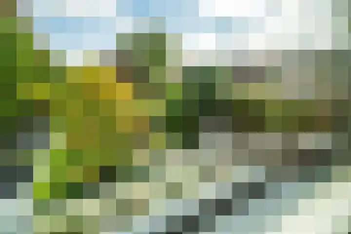 Catharinastraat 10 Leiden thumbnail 33