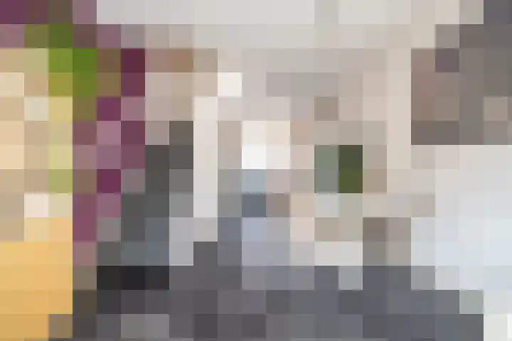 Catharinastraat 10 Leiden thumbnail 4