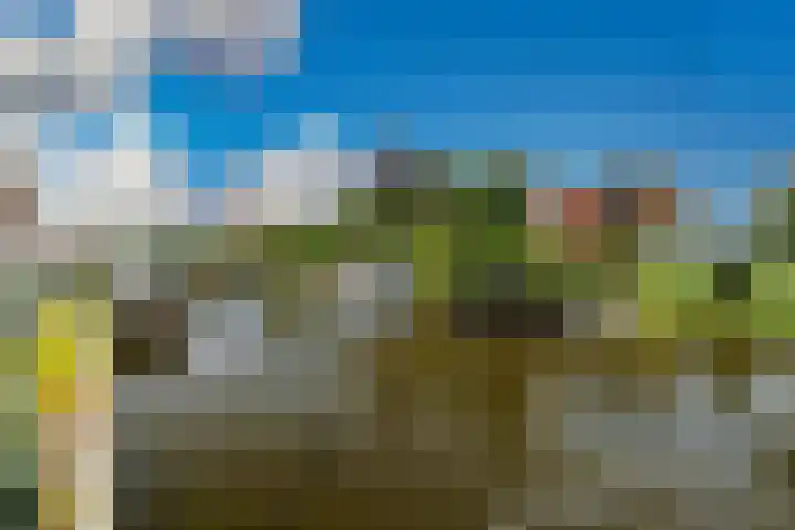 Catharinastraat 10 Leiden thumbnail 47