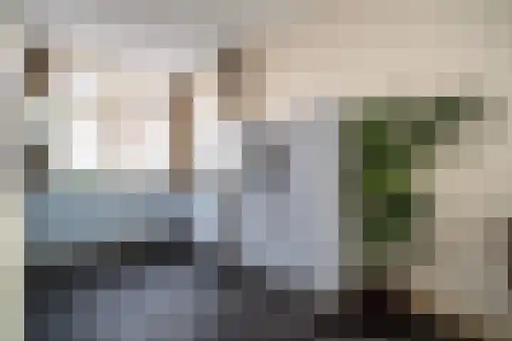 Catharinastraat 10 Leiden thumbnail 6