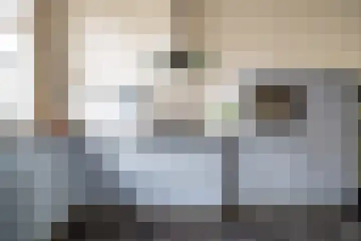Catharinastraat 10 Leiden thumbnail 7