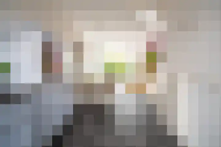 Catharinastraat 10 Leiden thumbnail 8