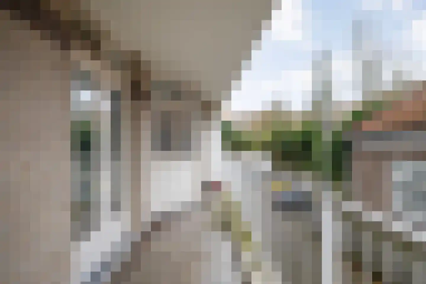 Catharinastraat 19 Breda thumbnail 24