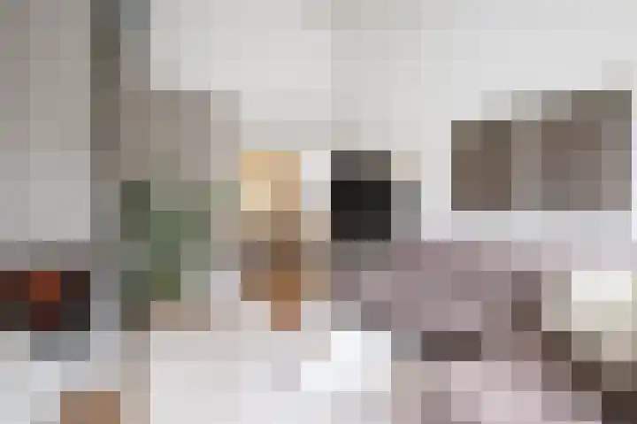 Catsveld 45 Gouda thumbnail 12