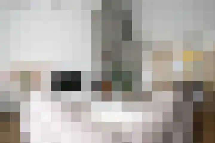 Catsveld 45 Gouda thumbnail 13