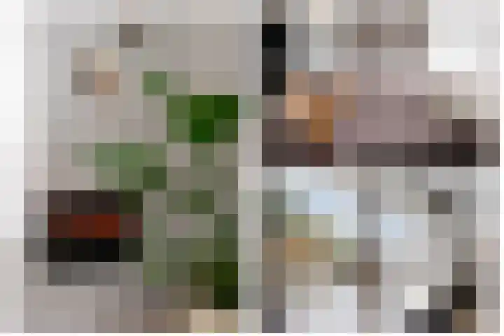 Catsveld 45 Gouda thumbnail 14