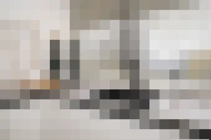Catsveld 45 Gouda thumbnail 19