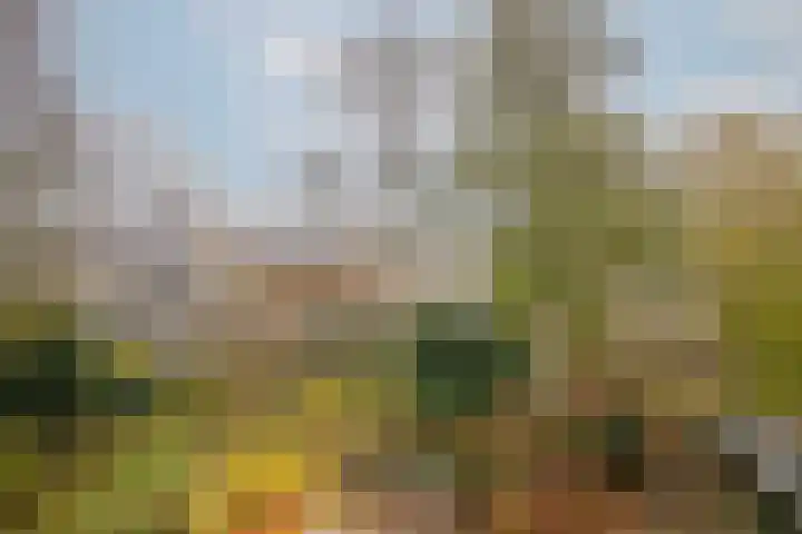 Catsveld 45 Gouda thumbnail 23