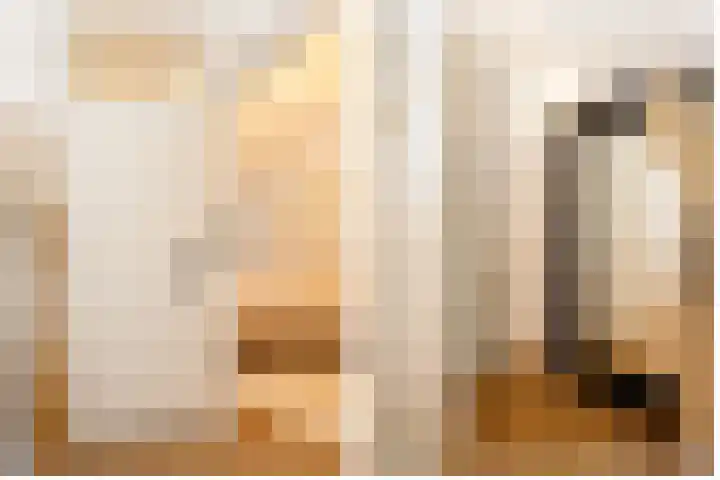 Catsveld 45 Gouda thumbnail 24