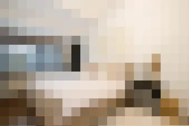 Catsveld 45 Gouda thumbnail 25