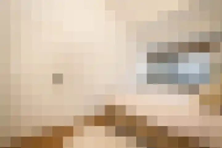 Catsveld 45 Gouda thumbnail 27