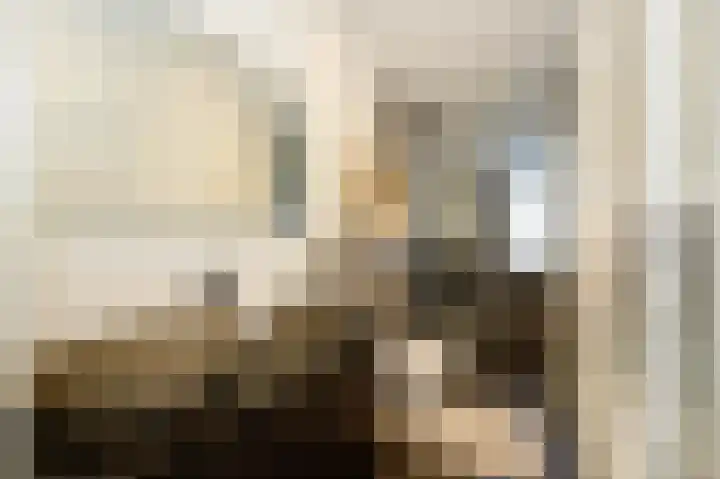 Catsveld 45 Gouda thumbnail 28