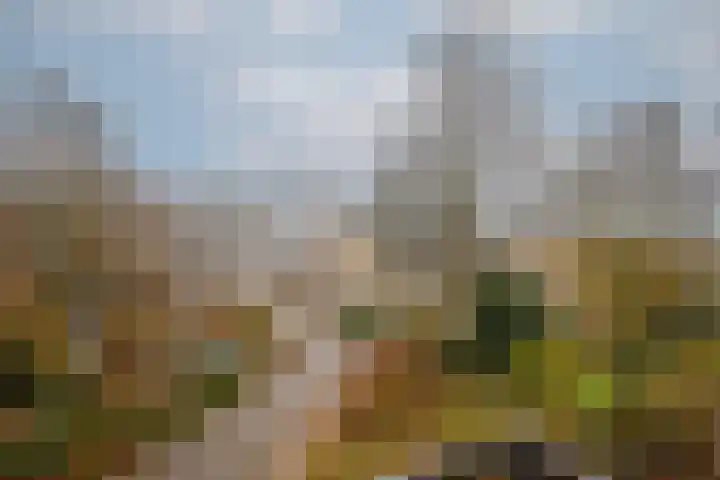 Catsveld 45 Gouda thumbnail 30