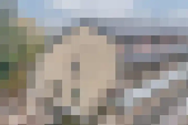 Catsveld 45 Gouda thumbnail 36