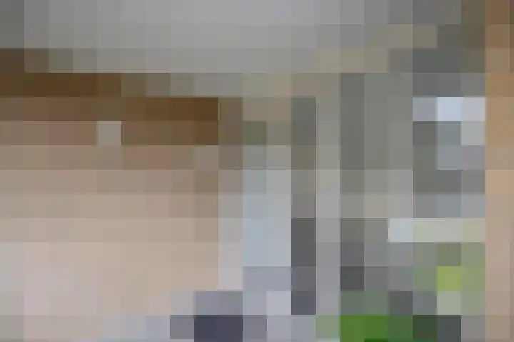 Catsveld 45 Gouda thumbnail 6