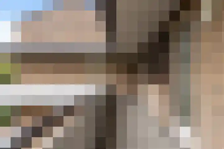 Catsveld 53 Gouda thumbnail 11