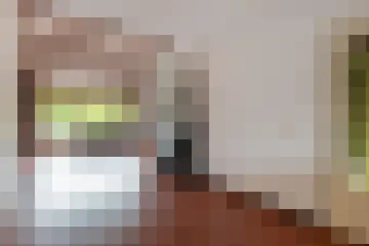 Catsveld 53 Gouda thumbnail 14