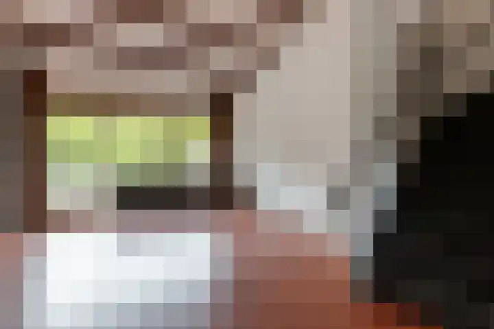 Catsveld 53 Gouda thumbnail 16