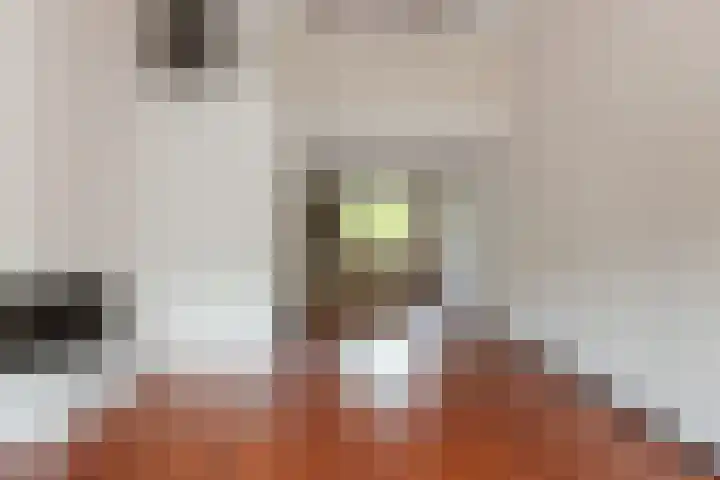 Catsveld 53 Gouda thumbnail 22