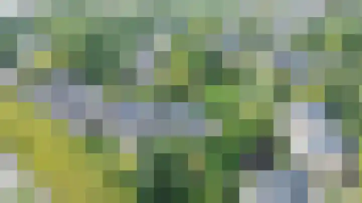 Catsveld 53 Gouda thumbnail 4