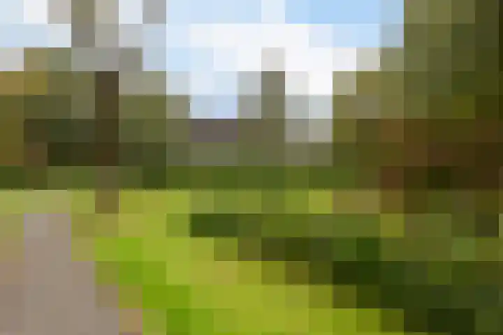 Catsveld 53 Gouda thumbnail 41