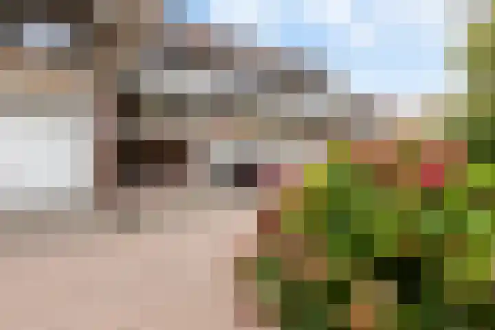 Catsveld 53 Gouda thumbnail 6