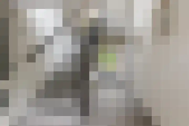 Catsveld 53 Gouda thumbnail 9