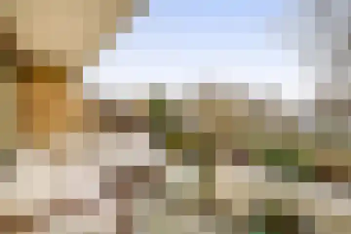Catsveld 56 Gouda thumbnail 10