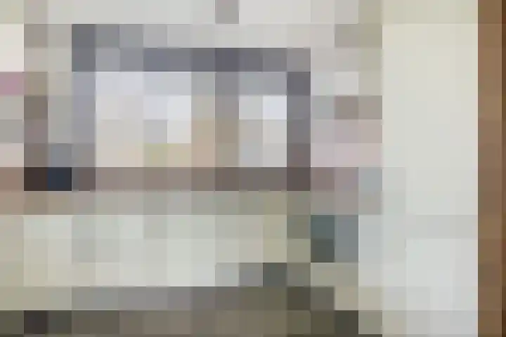 Catsveld 56 Gouda thumbnail 16