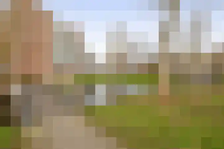 Catsveld 56 Gouda thumbnail 31