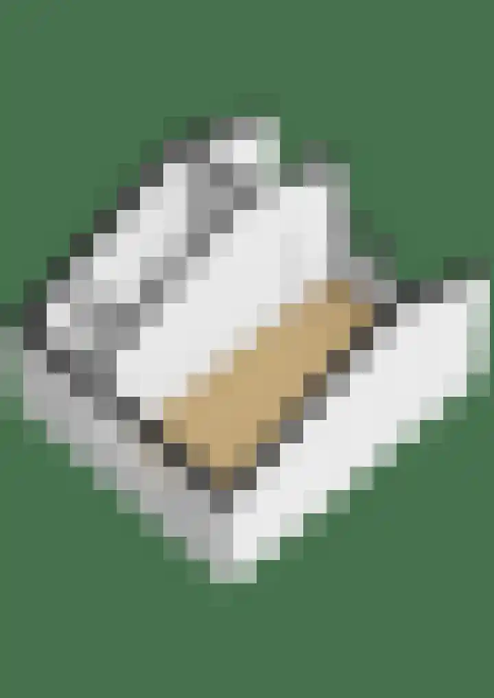 Catsveld 56 Gouda thumbnail 36
