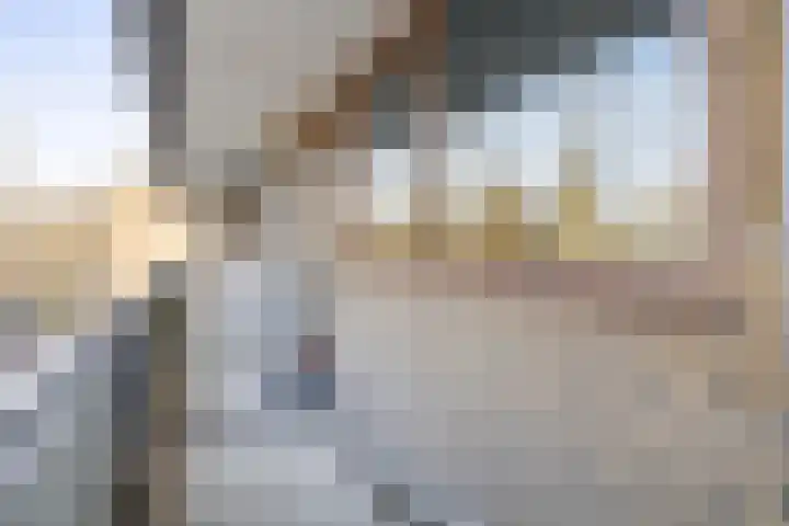 Catsveld 56 Gouda thumbnail 4