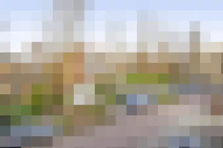 Catsveld 56 Gouda thumbnail 5