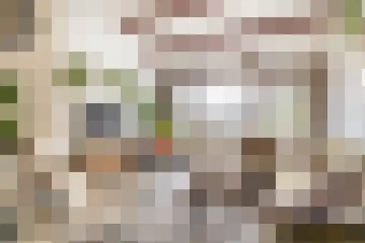 Catsveld 56 Gouda thumbnail 7