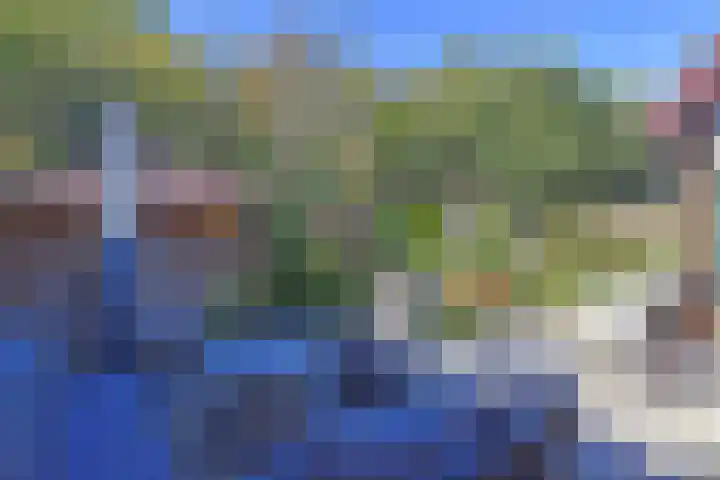 Cauberg 12 Zoetermeer thumbnail 31
