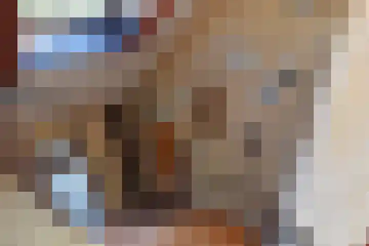 Cauberg 12 Zoetermeer thumbnail 36