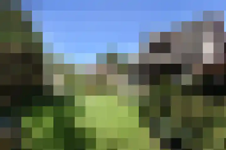 Cauberg 12 Zoetermeer thumbnail 51