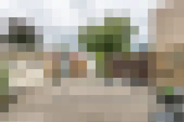 Caumerboord 43 Heerlen thumbnail 23