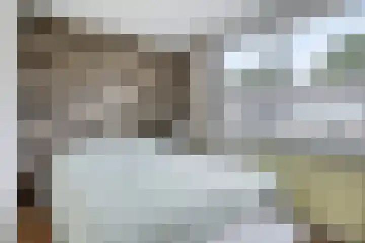Cederhage 47 Stadskanaal thumbnail 27
