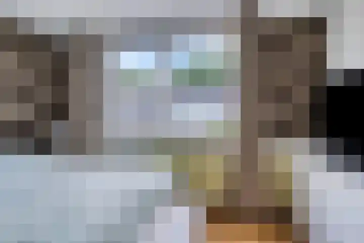 Cederhage 47 Stadskanaal thumbnail 28
