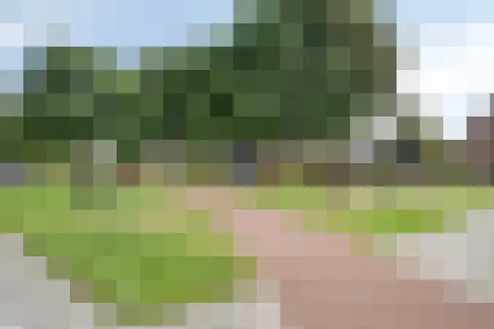 Cederhage 47 Stadskanaal thumbnail 43