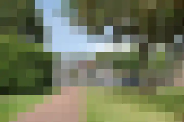Cederhage 47 Stadskanaal thumbnail 44