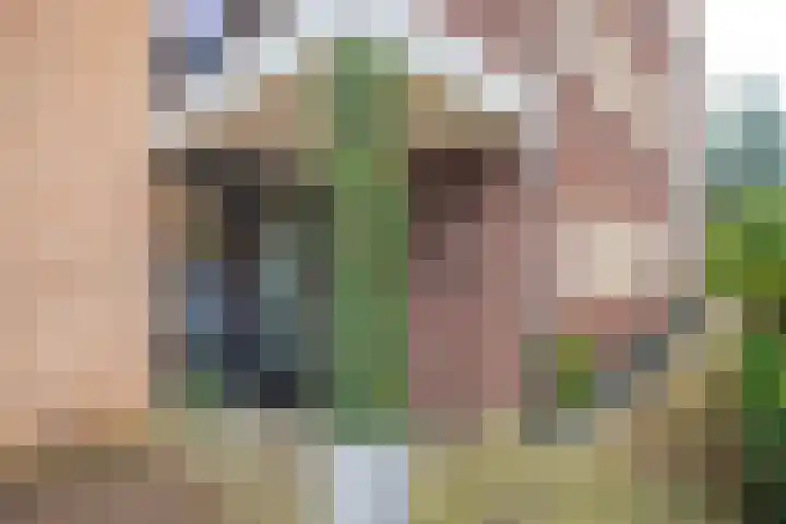 Cederhof 28 Duiven thumbnail 10
